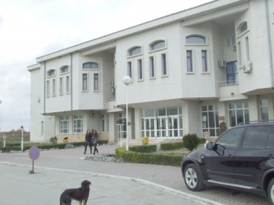 Laboratorul Bursa de Proiecte se desfăşoară la Universitatea Ovidius